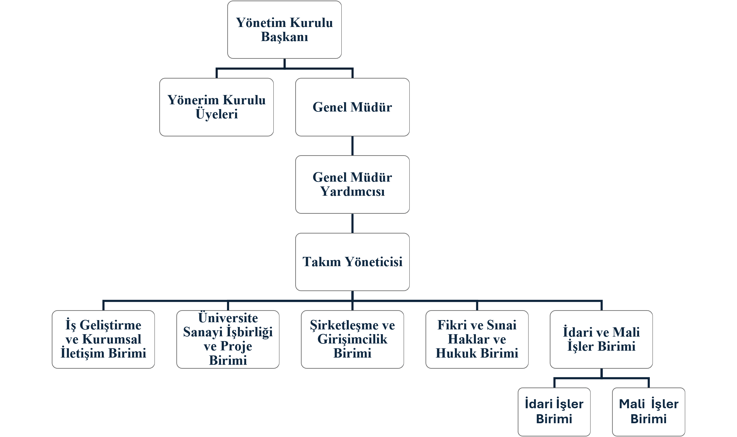 Organizasyon Şeması