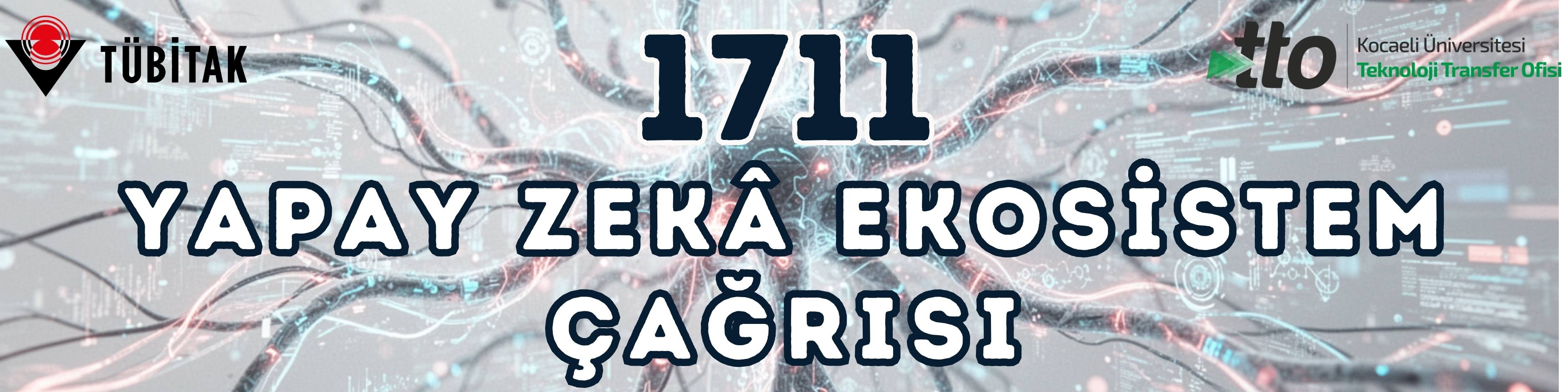 1711-Yapay Zeka Ekosistem Çağrısı